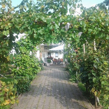 Apartmán Ferienweingut Arnold Thiesen Bruttig-Fankel Exteriér fotografie